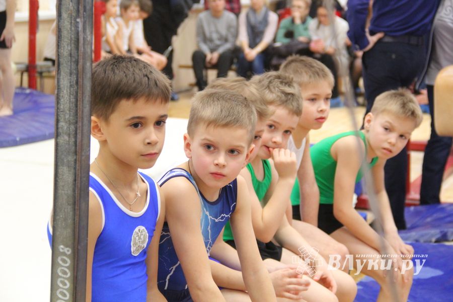 В ДЮСШ «Атлетика» прошли соревнования по спортивной гимнастике (ФОТО)