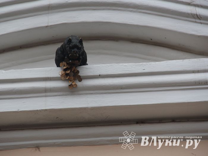 В Великих Луках появился чёрный кот (ФОТО)