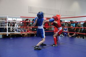 В Великих Луках завершились соревнования по боксу (ФОТО)