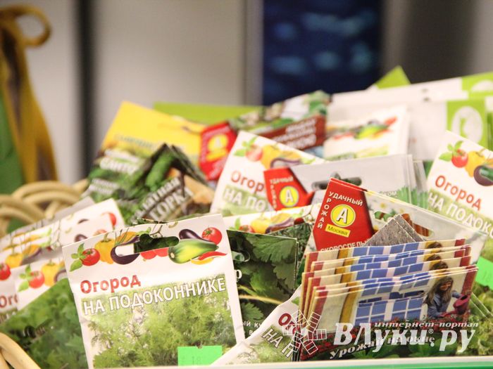 В ДК ЛК открылась 7-я Великолукская универсальная выставка (ФОТО, ВИДЕО)