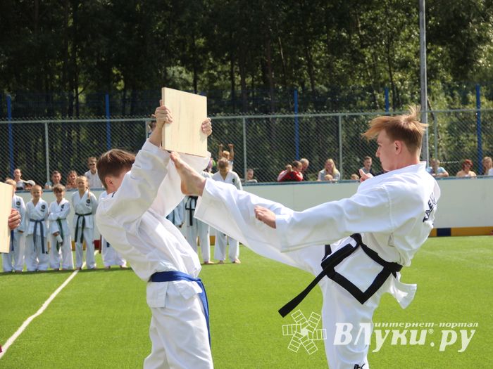 День спорта в День города: сила, мужество и грация (ФОТО)