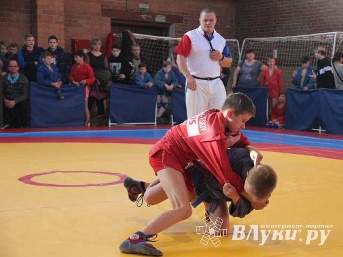 Великолучане завоевали награды турнира по самбо «Память» (ФОТО)