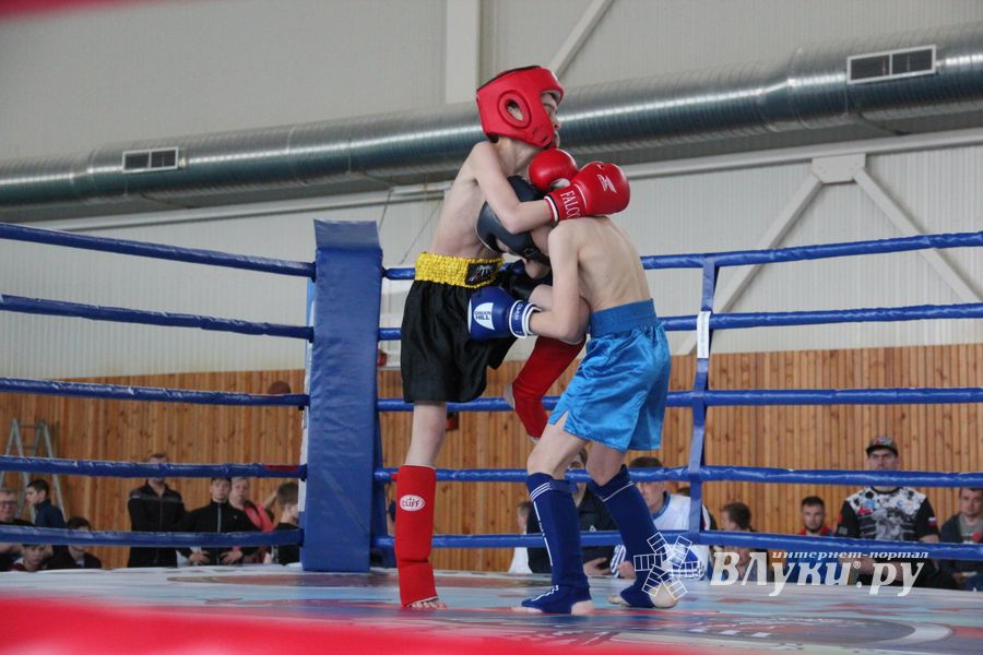 В Великих Луках прошел Кубок области по кикбоксингу (ФОТО)