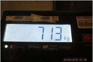 Псковская таможня остановила контрабанду 713 кг сигарет (фото)