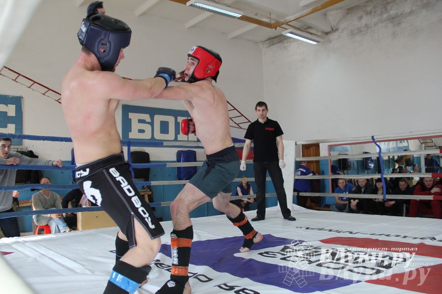 В Великих Луках прошел Чемпионат области по смешанному боевому единоборству (фото)