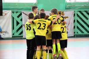 Кубок «Дружбы» уехал из Великих Лук в Лихославль