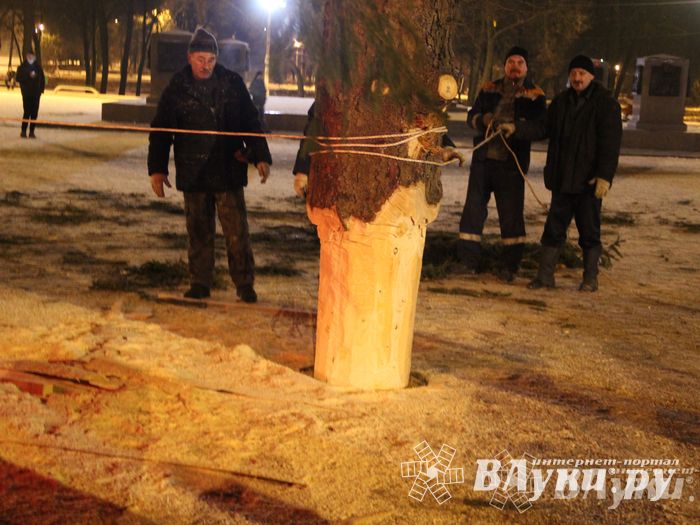 В Великих Луках установили новогоднюю елку (фото)