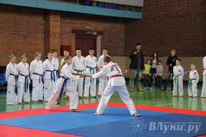 В Великих Луках прошло Первенство по тхэквондо (фото)