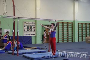 В Великих Луках прошло Первенство Области по спортивной гимнастики (фото)