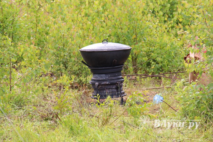 В Великих Луках проходит 7-й Фестиваль авиамодельного спорта (ФОТО)