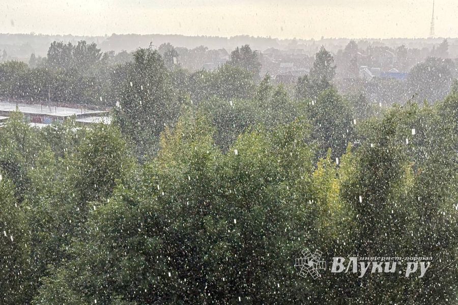 ВЛуки.ру