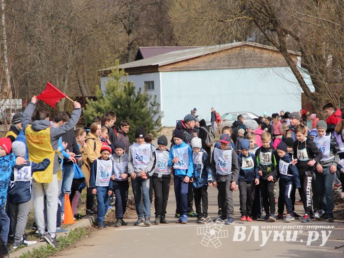 В Великих Луках прошёл легкоатлетический кросс (ФОТО)