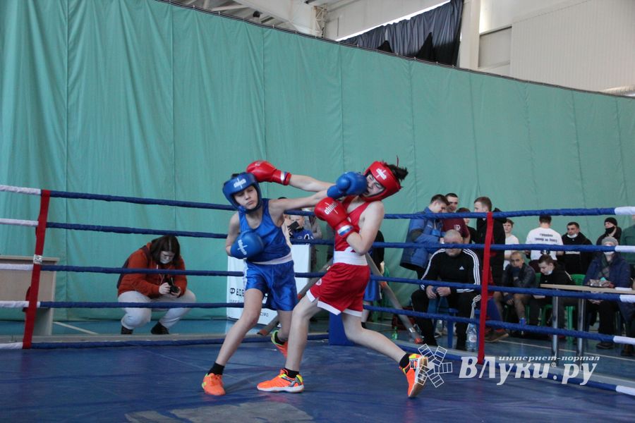 Фестиваль боевых искусств прошел в Великих Луках (ФОТО)