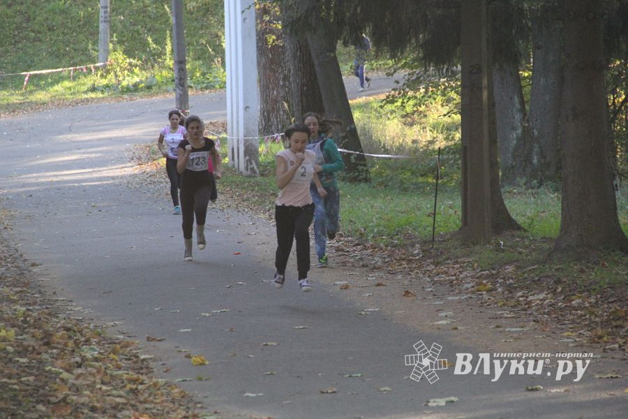 Легкоатлетический осенний кросс прошел в Великих Луках (фоторепортаж)