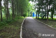 Дятлинку покосили (ФОТО)