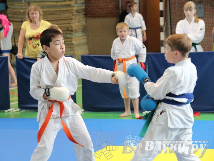 Турнир по каратэ «Неприкосновенный запас — дети Отчизны»