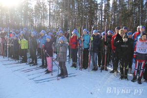Всероссийская массовая лыжная гонка «Лыжня России 2015» состоялась в Великолукском районе (фото)