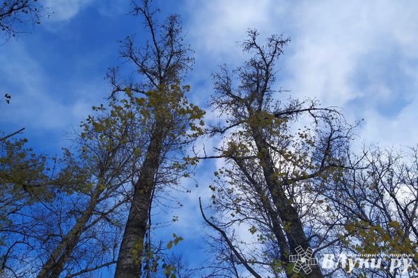 Холодный фронт уже скоро собьёт аномальное тепло