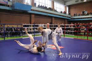 В Великих Луках прошел межрегиональный Открытый Кубок по смешанному боевому единоборству (фото)