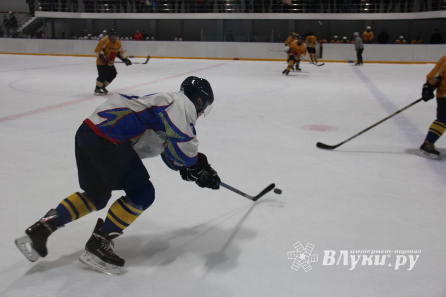Определилась команда, которая будет представлять город на Кубке области по хоккею (ФОТО)