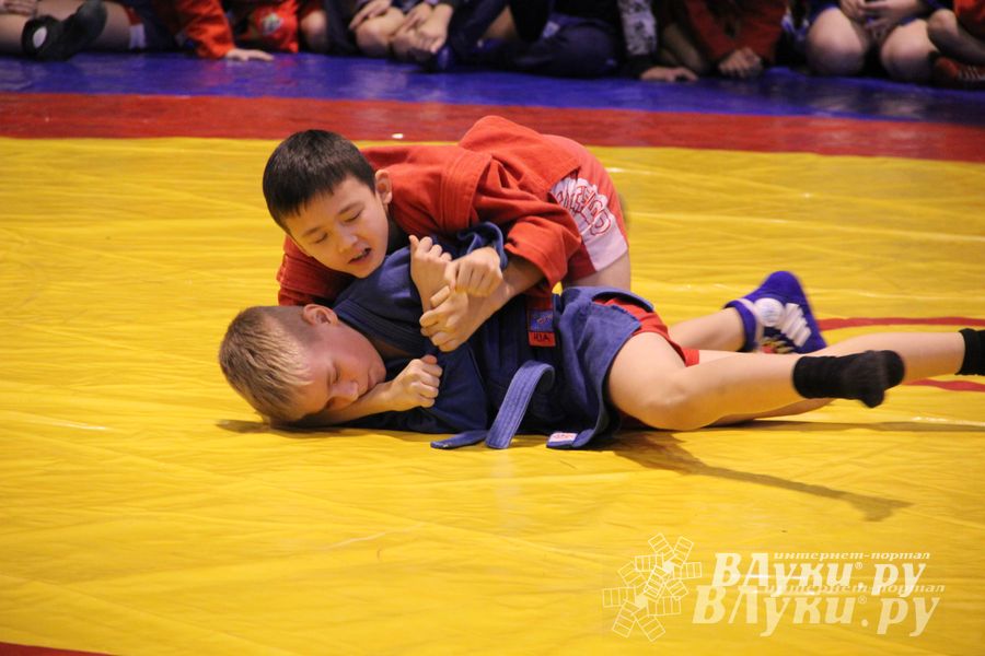 Великолучане стали первыми в общекомандном зачете турнира по самбо «Память»