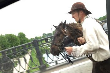 ФОТОФАКТ: Человек в каштановой кепи вел своего коня