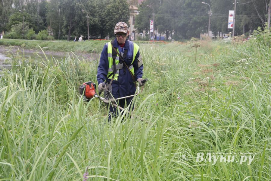 Куда утекла Ловать (ФОТО)