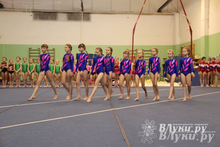В Великих Луках состоялось Первенство по командной гимнастике (фото)