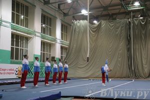 «Парад гимнастики» прошел в Великих Луках (фото)
