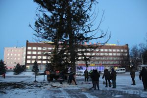Новогодняя ель приехала в Великие Луки