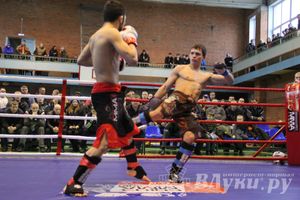 В Великих Луках прошел межрегиональный Открытый Кубок по смешанному боевому единоборству (фото)