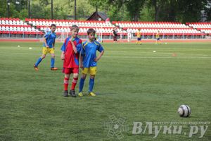 «Локобол-2013» в Великих Луках