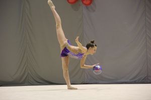 В Великих Луках проходит Кубок Псковской области по художественной гимнастике (ФОТО) (0+)