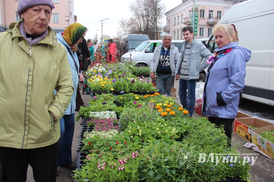 В Великих Луках прошла универсальная ярмарка «Весна-2019» (ФОТО)