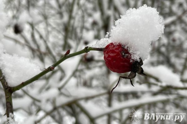 Прогноз погоды в Великих Луках на 9 декабря