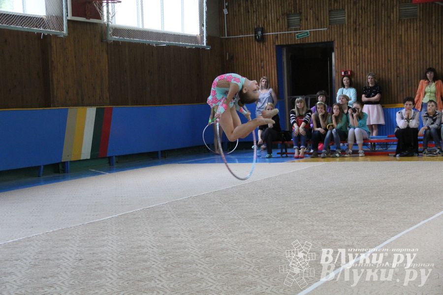 В Великих Луках прошло Первенство по художественной гимнастике (фото)