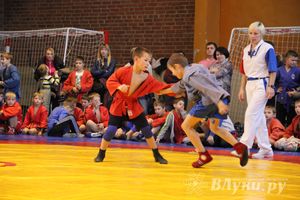 Великолучане стали первыми в общекомандном зачете турнира по самбо «Память»