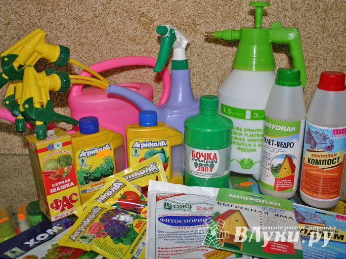 «Сударушка» приглашает...