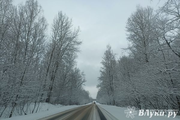 Госавтоинспекция региона обращается к автовладельцам