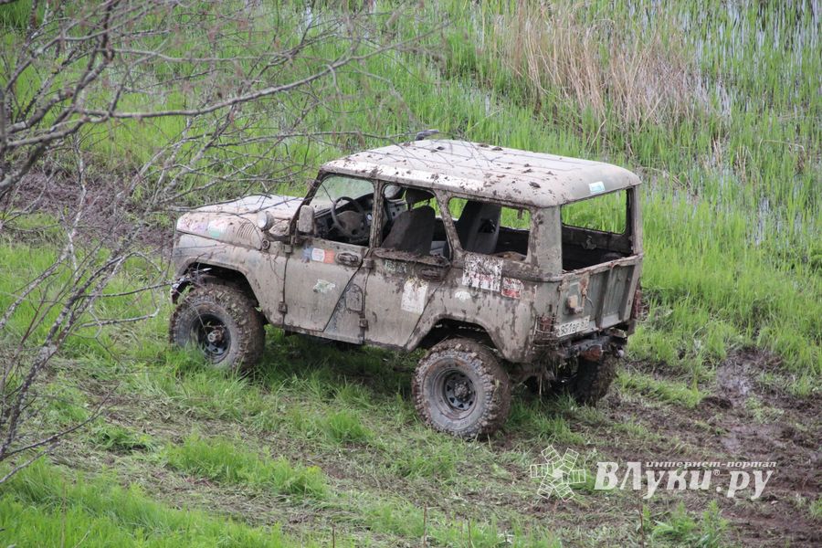 Кураж (ФОТО)