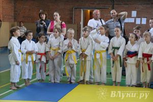 Великолучане стали победителями турнира по каратэ «Неприкосновенный запас, дети — Отчизны 2015» (фото)