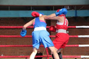 В Великих Луках прошел турнир по боксу памяти Е. Клевцова (ФОТО)
