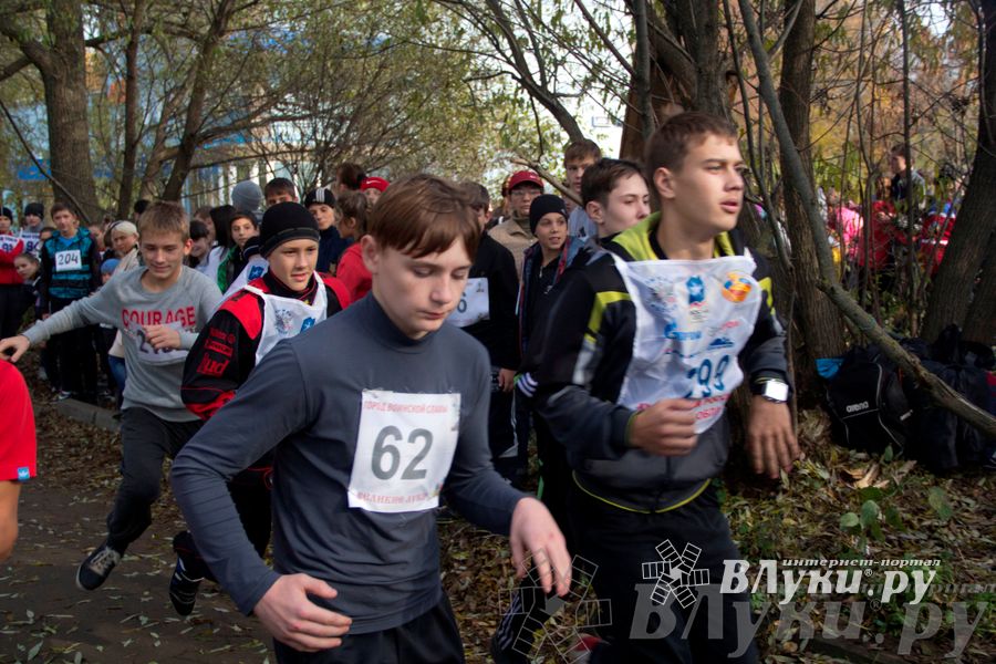 В Великих Луках прошел «Осенний кросс» 