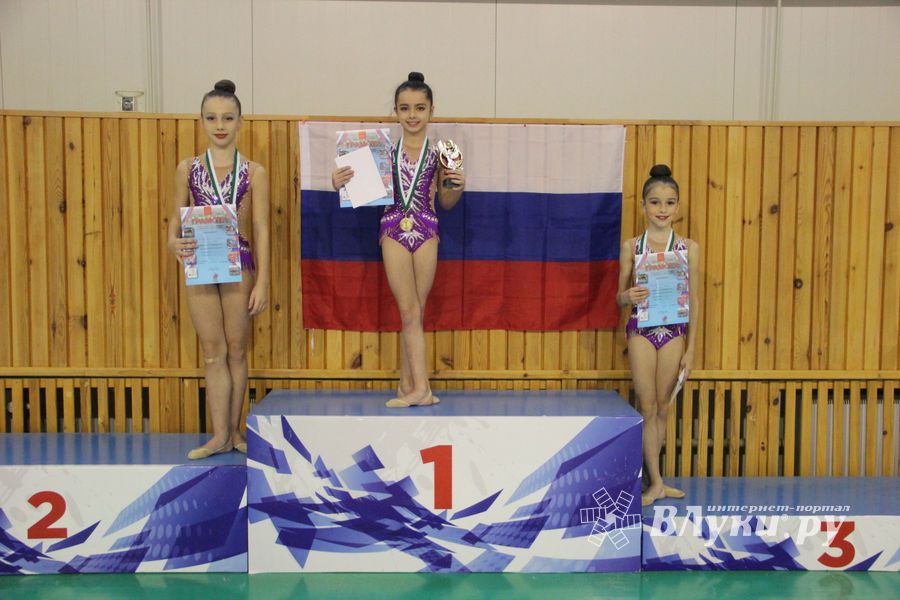 В Великих Луках прошли соревнования по художественной гимнастике (ФОТО)