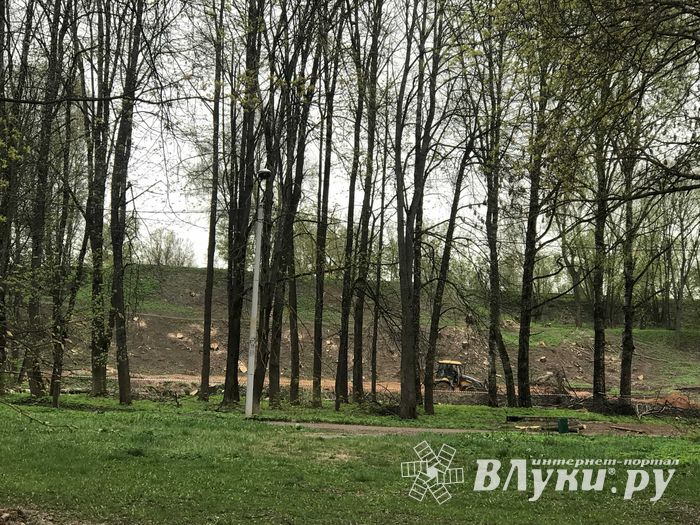 В будущем Петровском парке завершается очередной этап работ (ФОТО)