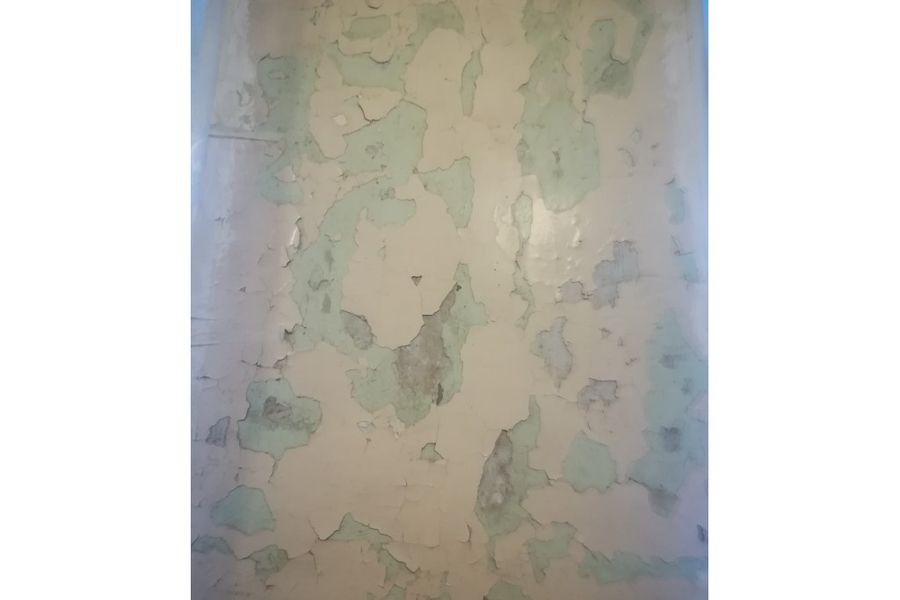 Жители Псковской области жалуются на неподобающее состояние больницы в Черехе