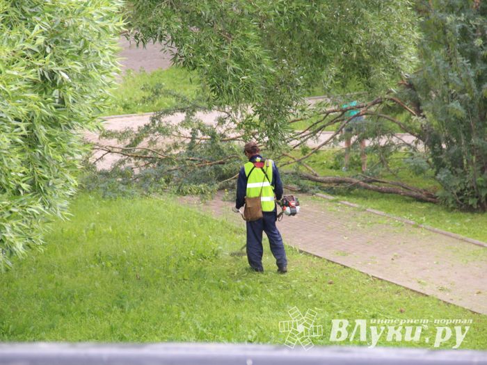 В Великих Луках сажают, стригут и красят (ФОТО)