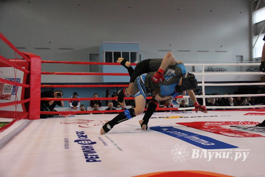 Открытый кубок по смешанному боевому единоборству ММА прошел в Великих Луках (ФОТО)