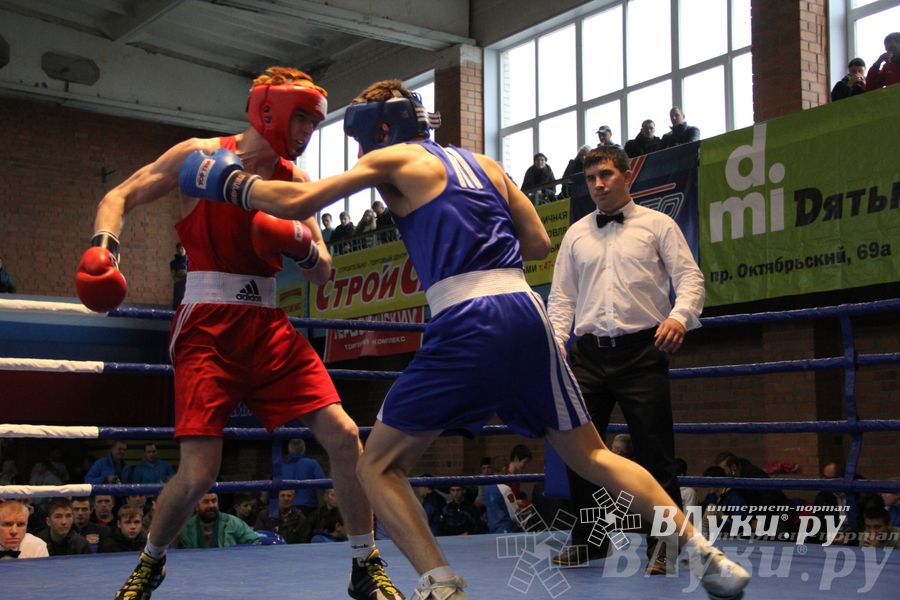 16-й Международный турнир по боксу (фото)