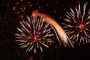 В Великих Луках зажглась новогодная ёлка (ФОТО)